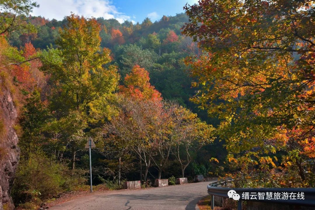 缙云县最新动态探索之旅，11月1日的更新与发现