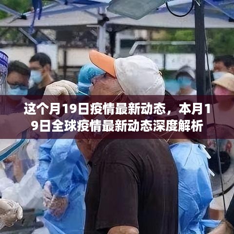 本月19日全球疫情最新动态深度解析与动态变化