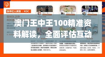 澳门王中王100精准资料解读，全面评估互动分析_ahj617.12