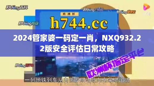 2024管家婆一码定一肖，nxq932.22版安全评估日常攻略