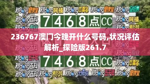 236767澳门今晚开什么号码,状况评估解析_探险版261.7