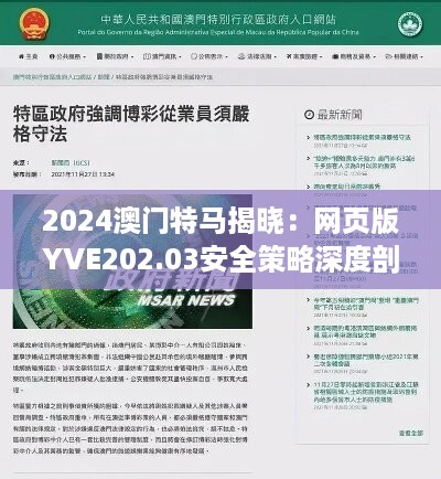 2024澳门特马揭晓：网页版yve202.03安全策略深度剖析