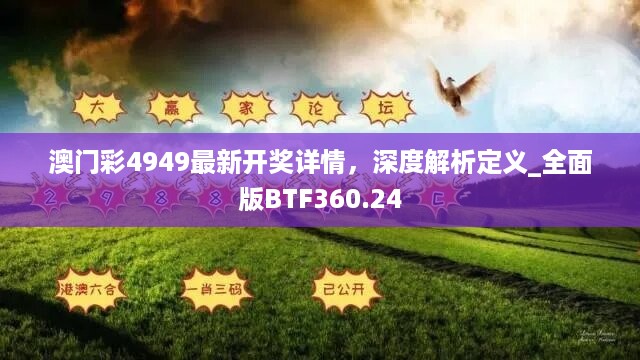 澳门彩4949最新开奖详情，深度解析定义_全面版btf360.24