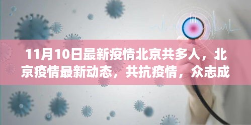 北京疫情防控纪实，众志成城抗击疫情的最新动态（11月10日更新）