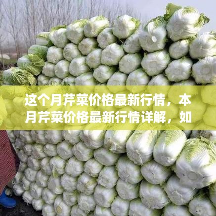 本月芹菜价格行情详解，最新动态、解读及获取价格走势图指南