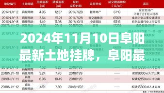 聚焦阜阳土地市场，最新挂牌信息解读，洞悉未来土地市场动向（2024年11月10日）