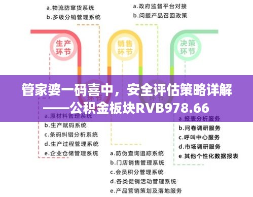 管家婆一码喜中，安全评估策略详解——公积金板块rvb978.66