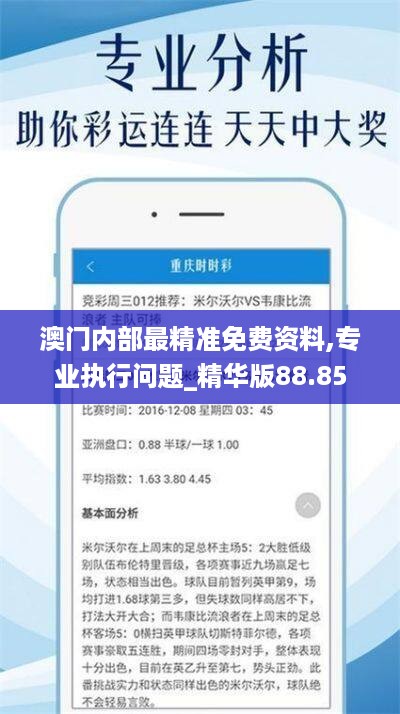 澳门内部最精准免费资料,专业执行问题_精华版88.85