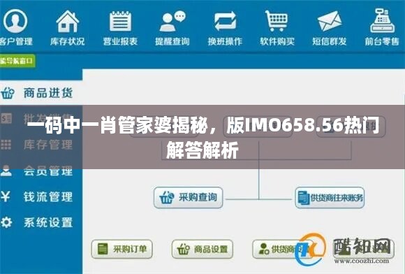 一码中一肖管家婆揭秘，版imo658.56热门解答解析