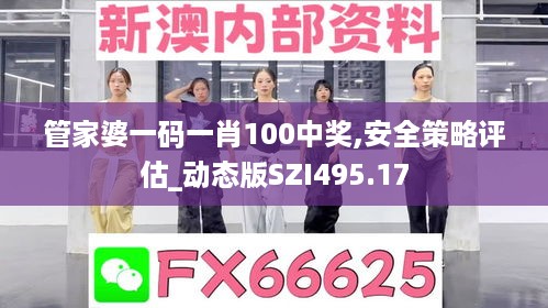 管家婆一码一肖100中奖,安全策略评估_动态版szi495.17