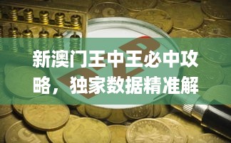 新澳门王中王必中攻略，独家数据精准解析_tbx46.25策展版