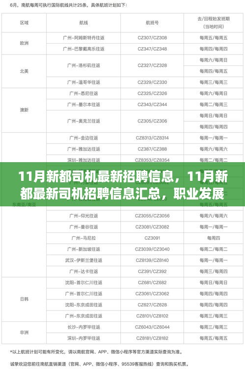 11月新都司机最新招聘信息汇总与职业发展与就业前景展望