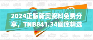 2024正版新奥资料免费分享，tnb841.34图库精选解读