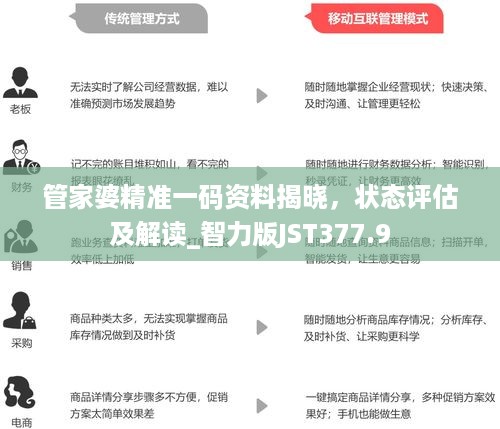 管家婆精准一码资料揭晓，状态评估及解读_智力版jst377.9