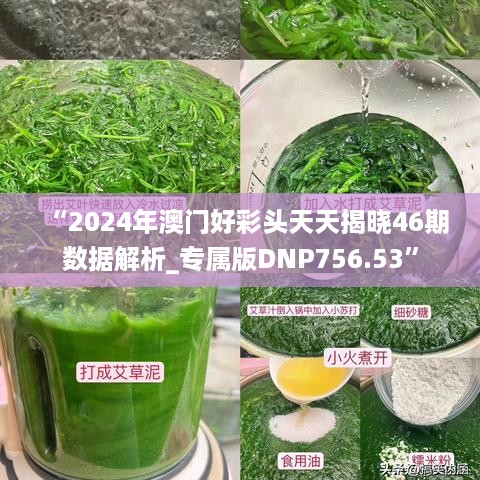 “2024年澳门好彩头天天揭晓46期数据解析_专属版dnp756.53”